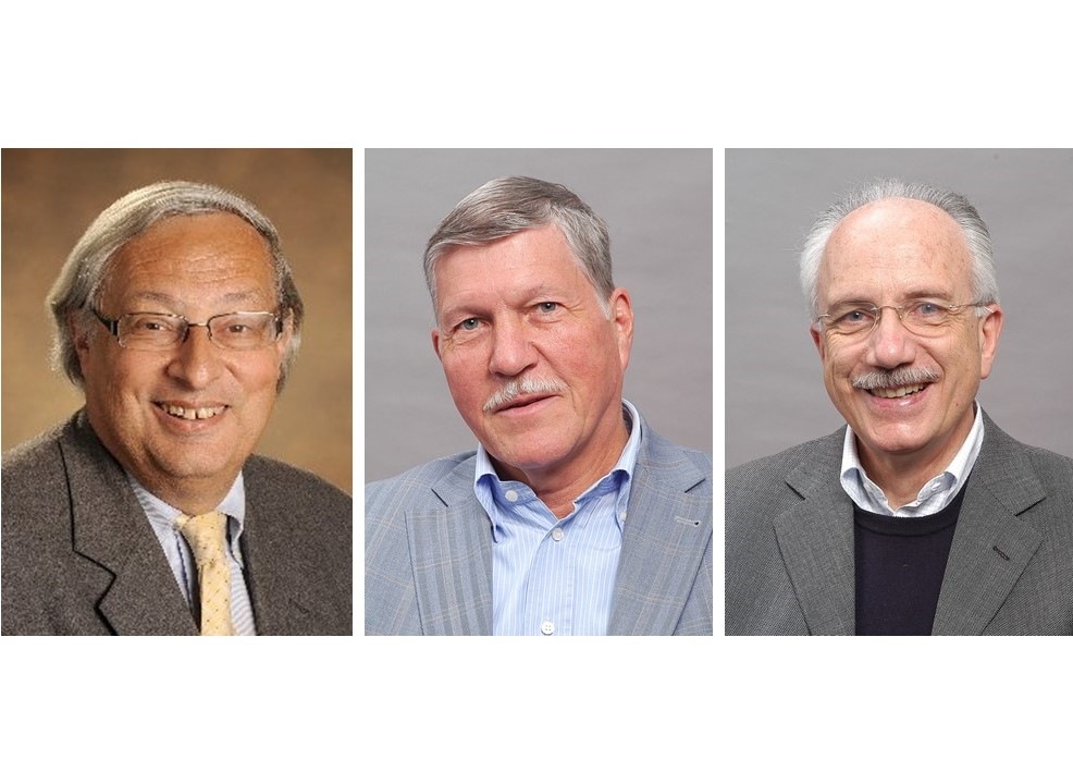 The Encyclopedia was edited by Bertrand Badie, Dirk Berg-Schlosser and Leonardo Morlino.