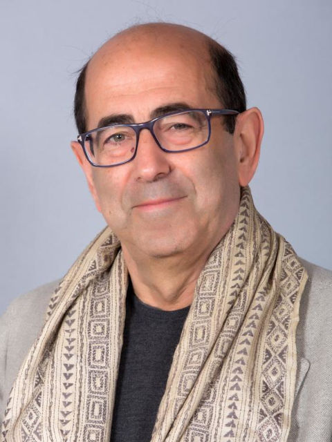 Mauro Calise