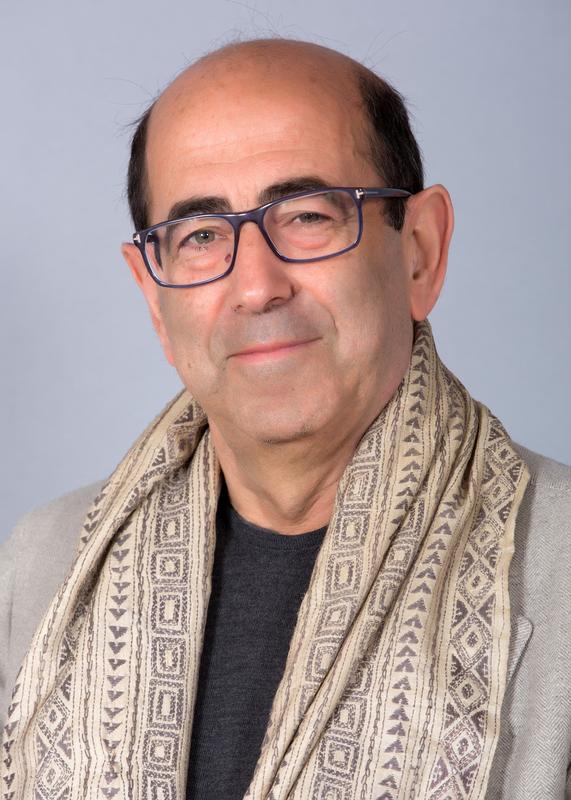 Mauro Calise