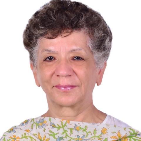 Neera Chandhoke Photo
